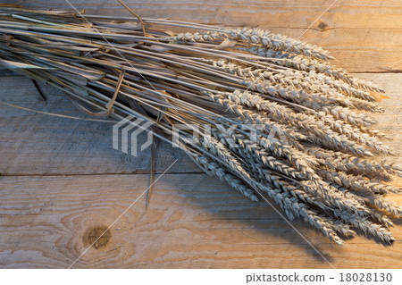 sheaf of wheat 18028130