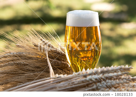 beer glass and raw material for beer production 18028133