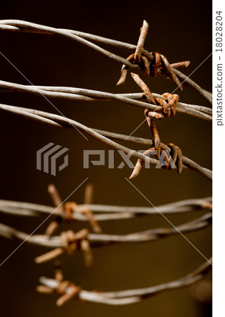 barbed wire 18028204