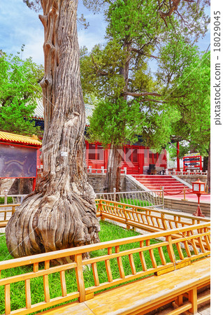 Temple of Confucius at Beijing  18029045