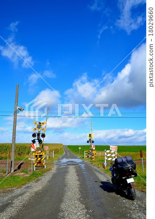 Scenery with railroad crossing (2) 18029660