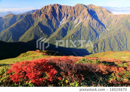 從Kasagatake看到的早晨Tanigawa-dake 從Kasagatake看到的早晨Tanigawa-dake 18029870