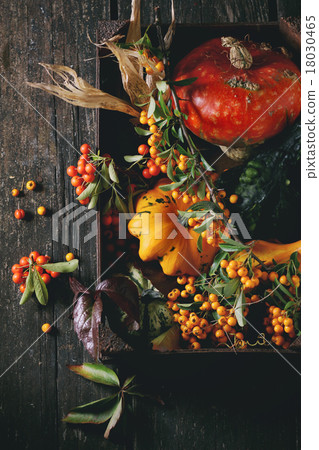 Assortment of different pumpkins and berries Assortment of different pumpkins and berries 18030465
