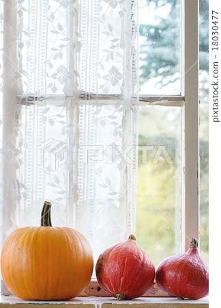 Assortment of different pumpkins on window sill 18030477