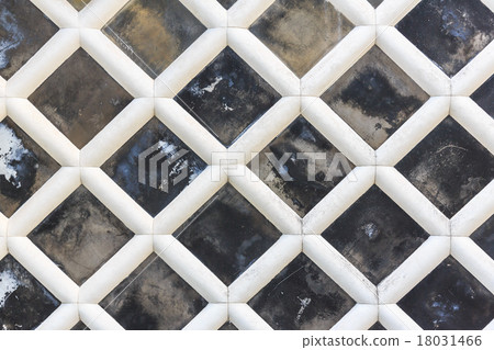 Sea cucumber wall 18031466