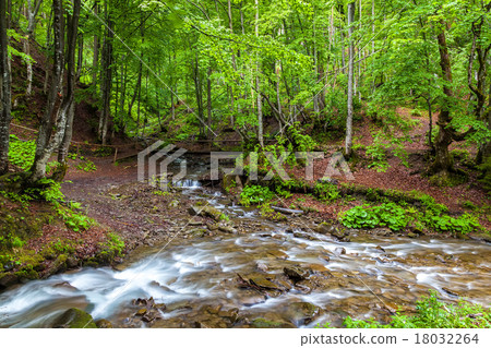 Mountain forest stream and bridge after the rain 18032264