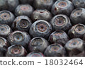 Lot of unfrozen blueberries. Macro view. Close-up 18032464