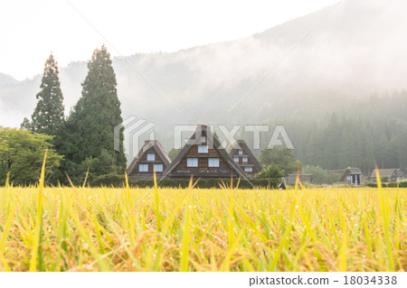Shirakawago of autumn and early morning [Inaho and the architectural community building] 18034338