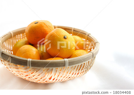 橘子 18034408