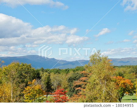 Autumn leaves of blue sky, Alps and Yatsugatake natural cultural park Autumn leaves of blue sky, Alps and Yatsugatake natural cultural park 18034955