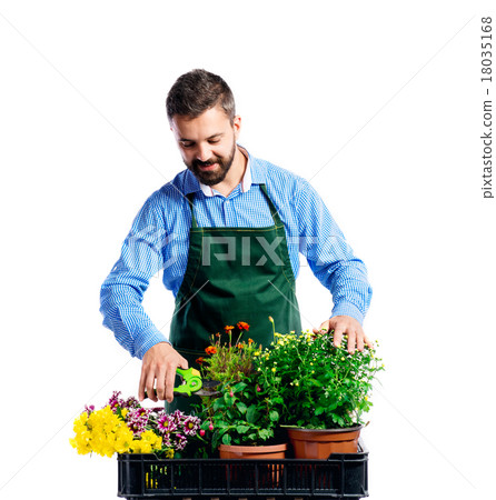 Young handsome gardener Young handsome gardener 18035168