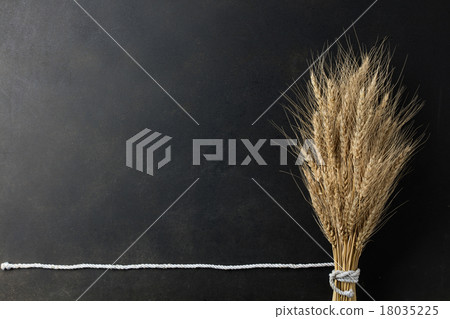 wheat on black background 18035225