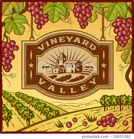 Vineyard Valley 18035382