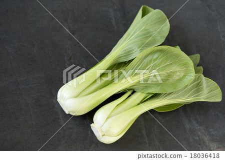 Qing-geng-cai  18036418