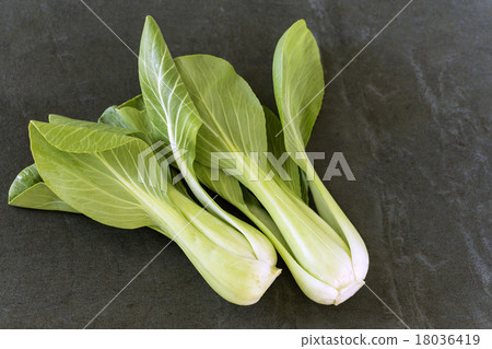 藍栗子 藍栗子 18036419