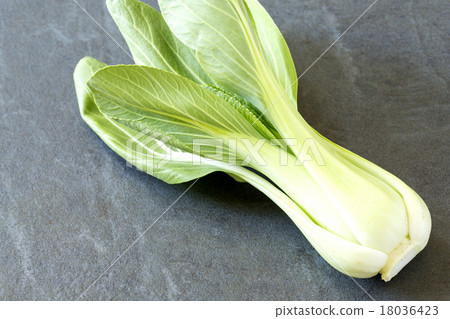 Chingengsai 18036423