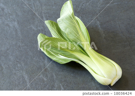 藍栗子 藍栗子 18036424