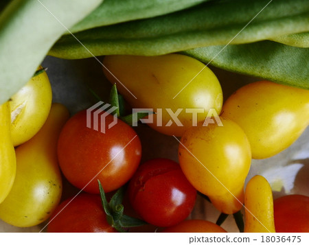 蔬菜 蔬菜 18036475