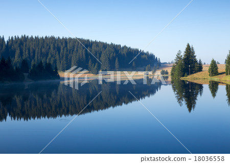 Reflections on blue surface of forest lake Reflections on blue surface of forest lake 18036558