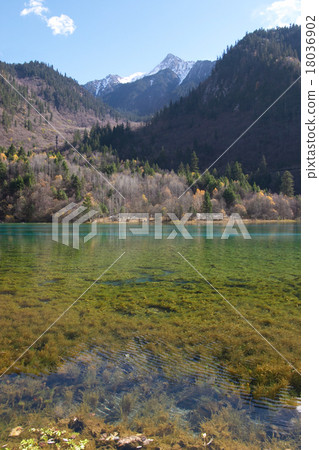 Colourful lake in Jiu Zhai Gou, Sichuan, China 18036902