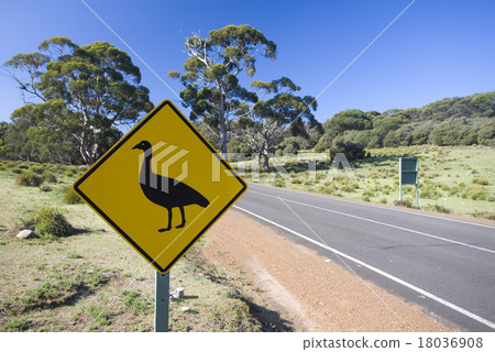 Cape Barren Goose road sign 18036908