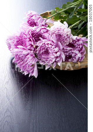 Gigantic Gigantic 18037005