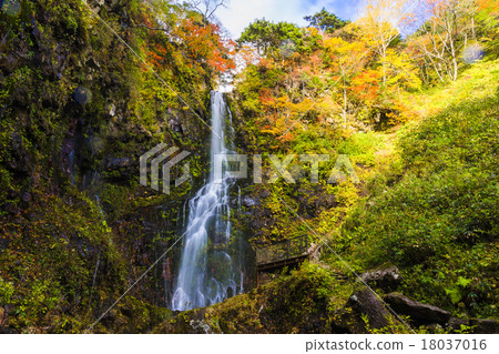 秋季秋季秋季 18037016