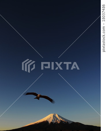 First Dream Image Fuji Falcon First Dream Image Fuji Falcon 18037486