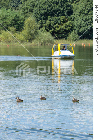 池塘和腳踏船 18037544