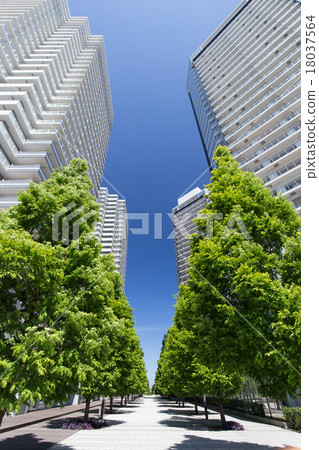 橫濱港未來的高層建築和公寓 18037564