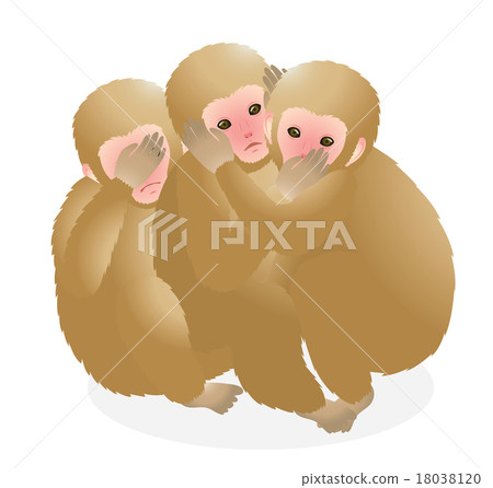 猴子明信片 18038120