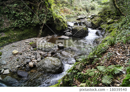  Cheonan Rivers 18039540