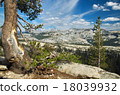 Panoramic view of Yosemite national park 18039932