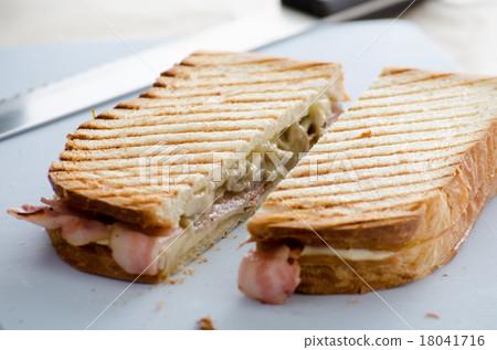 Sandwich 18041716
