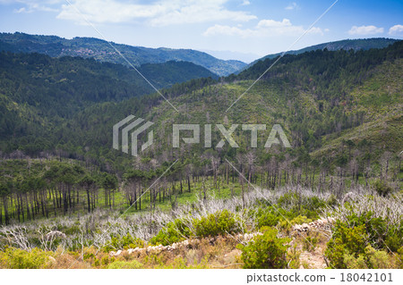 Wild mountain landscape. South of Corsica island 18042101
