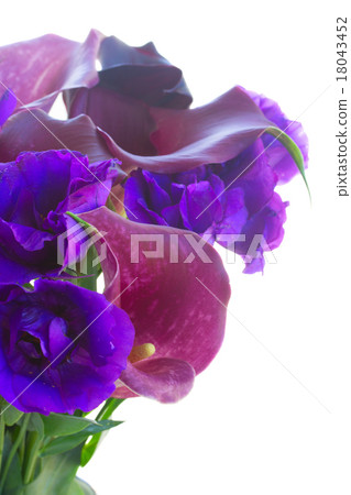 Calla lilly and eustoma flowers 18043452