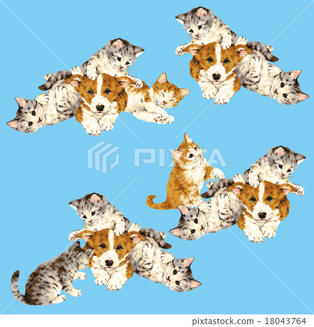 Cute cats and dogs Cute cats and dogs 18043764
