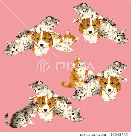 Cute cats and dogs 18043765