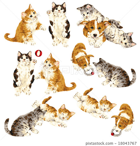 可愛的貓和狗 可愛的貓和狗 18043767