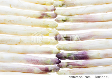 Wall Made of White Asparagus Spears. 18044540