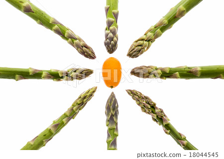 Eight Asparagus Spears Aiming at One Kumquat 18044545