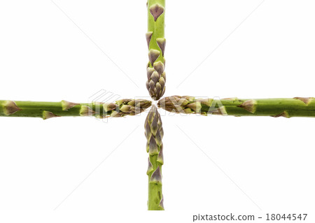 Four Asparagus Spears Meeting in the Middle 18044547