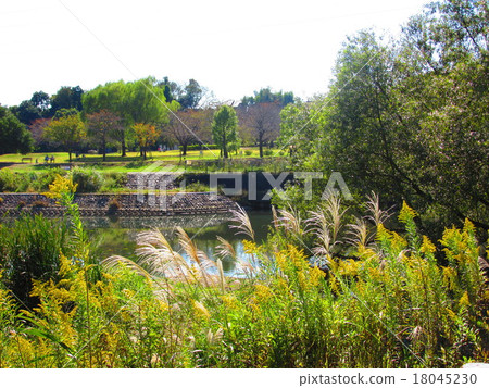 Kitashiba Furusato Park Kitashiba Furusato Park 18045230