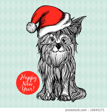 Dog In Christmas Hat 18045271