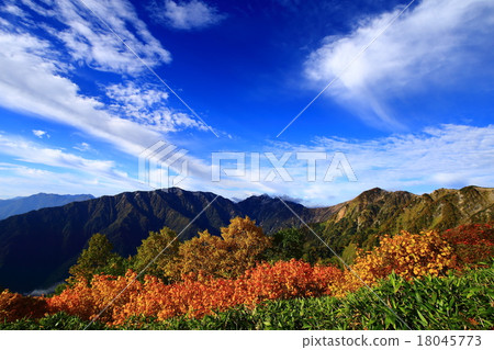 Kashiwara Shinto Road in autumn 18045773