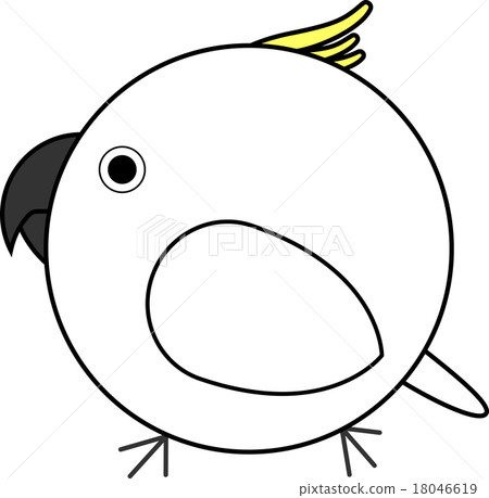 Maruko(Kibatan) Maruko(Kibatan) 18046619