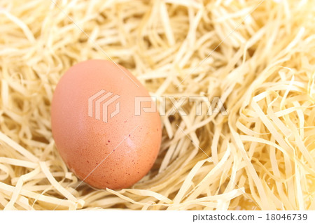 An egg An egg 18046739