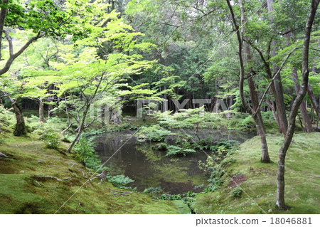Kyoto Seishoh Temple Kanpoike 18046881