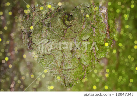 Tree bark closeup with clear heart shape 18047345