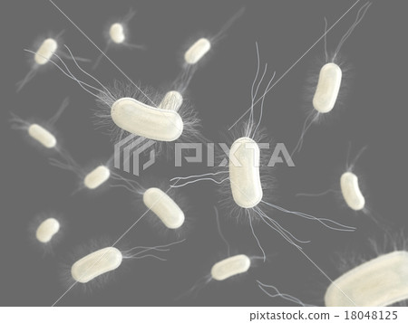 E. coli planar distribution (gray back) E. coli planar distribution (gray back) 18048125